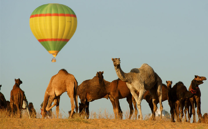 Pushkar-camel-fair-2019-hot air ballon