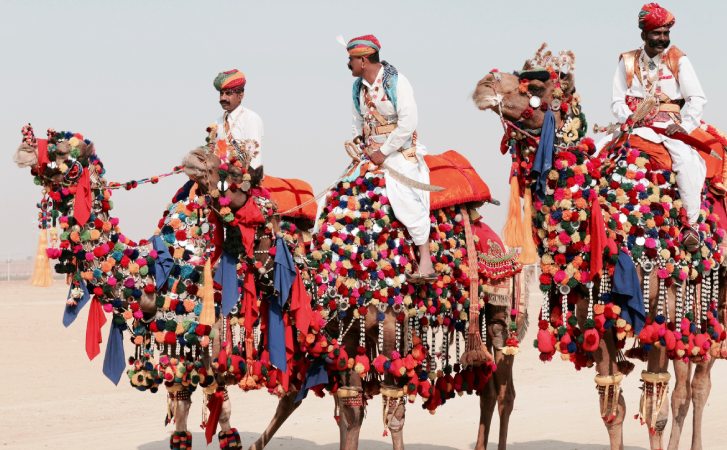pushkar-camel-fair-2019