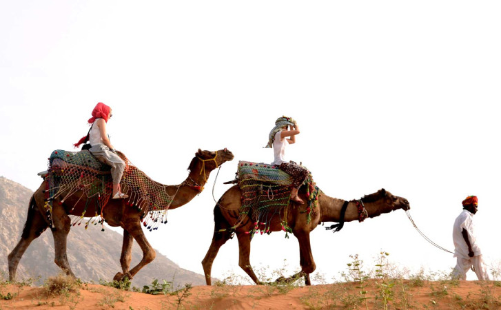 pushkar-camel-fair-safari