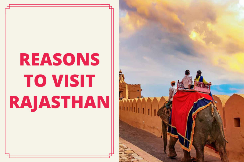 Reasons To Visit Rajasthan