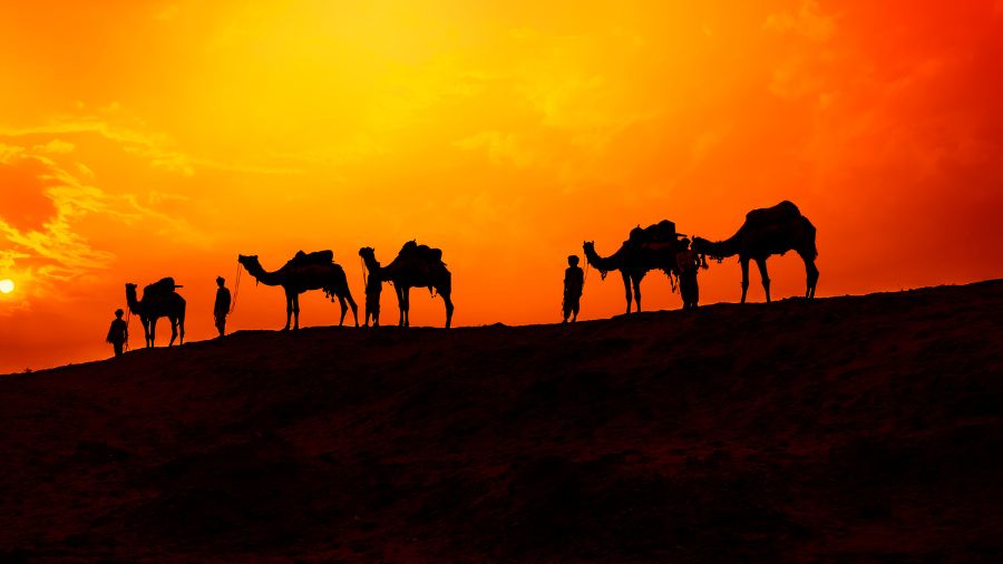 Rajasthan Tour Operator Services