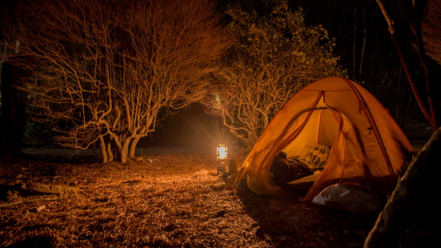 Night Camping In Ranthambore National Park