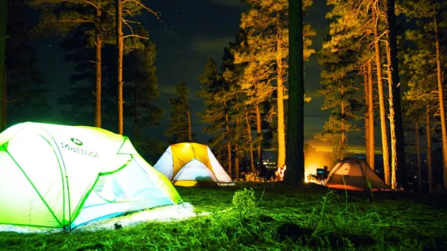 Sariska Camping