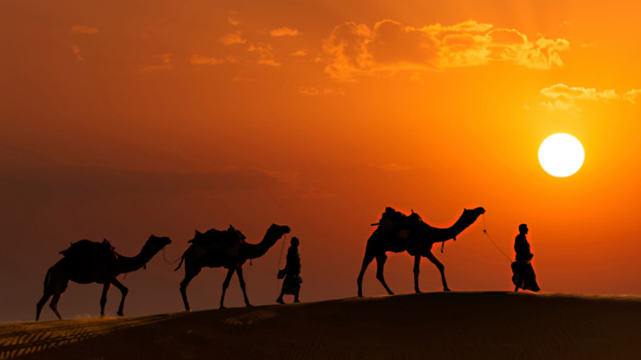Experience The Hospitality of Rajasthan With A Hospitality Club