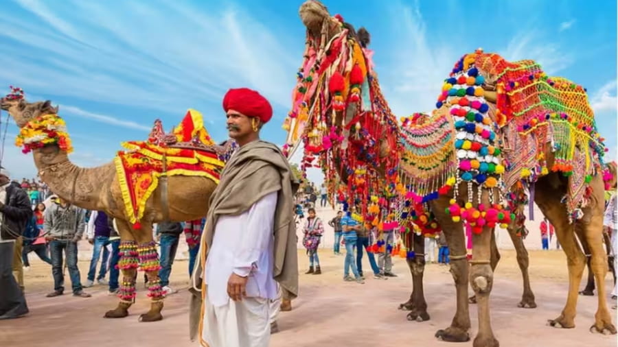Bikaner Camel Festival