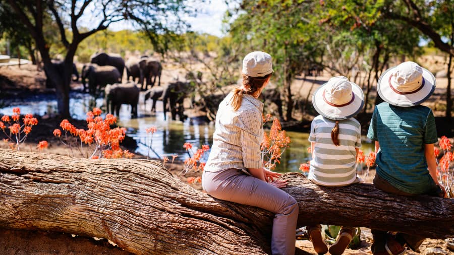 List of Rajasthan Wildlife Safaris