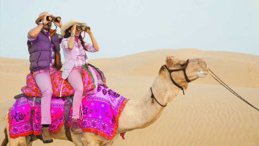 Booking Your Rajasthan Adventure