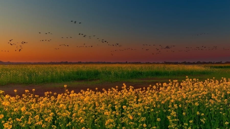 Exploration & Hidden Treasures