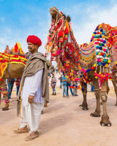 7 Days Pushkar Camel Fair Package with Golden Triangle