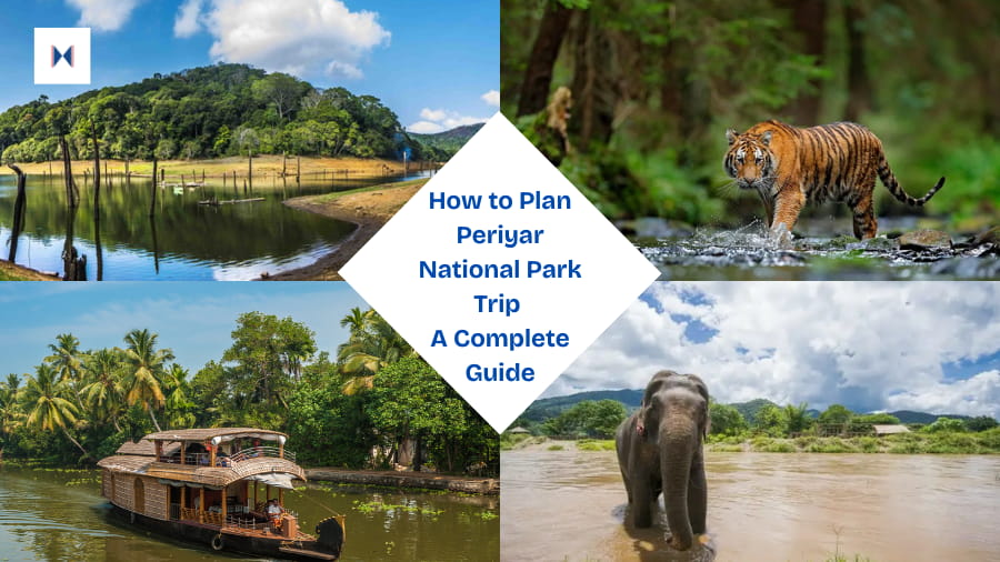 How to Plan Periyar National Park Trip – A Complete Guide