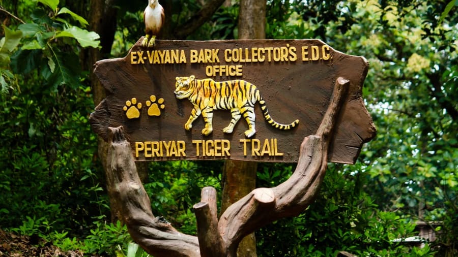 When to Go – The Best Time to Visit Periyar