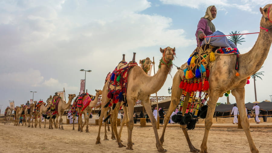 Bikaner Camel Fair