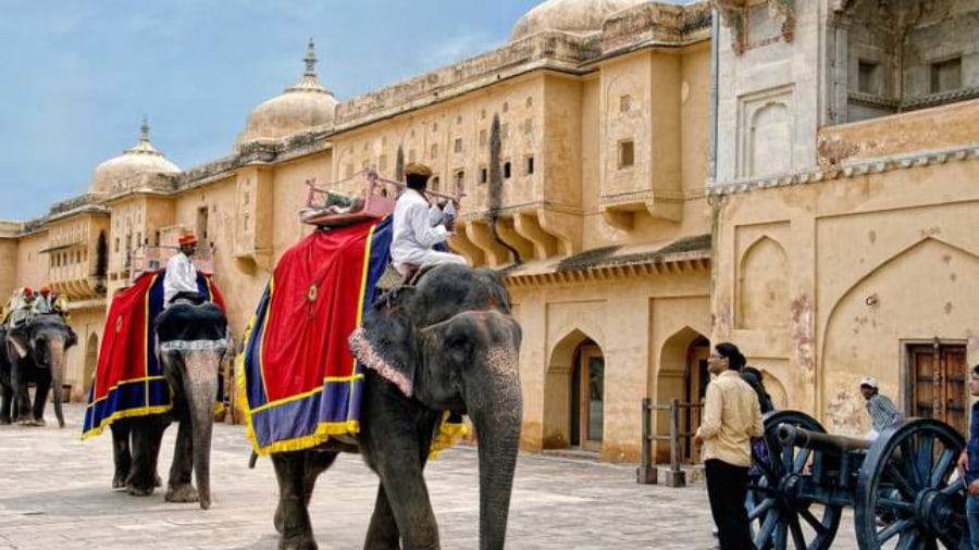 Finding the Best Tour Operators in Rajasthan