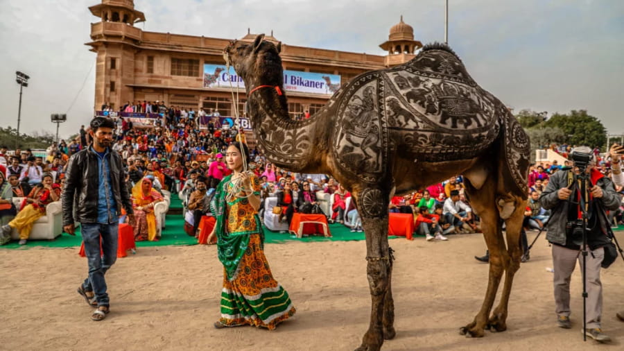 The Camel Festival in Bikaner (Early January)