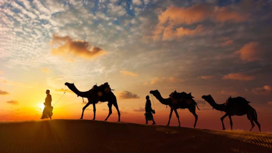 Why Choose a Rajasthan Tour Package